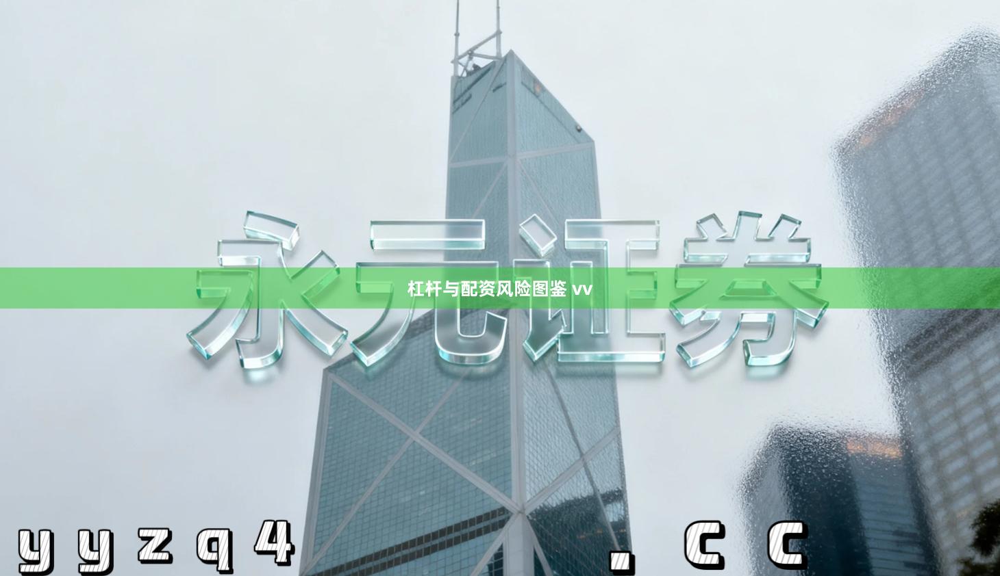 杠杆与配资风险图鉴 vv